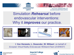 Rehearsa endovascular interventions: improves