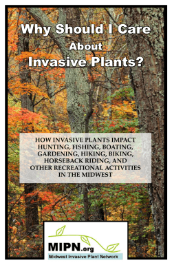 Why Should I Care  Invasive Plants? About