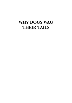 WHY DOGS WAG THEIR TAILS