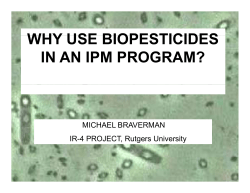 WHY USE BIOPESTICIDES IN AN IPM PROGRAM? MICHAEL BRAVERMAN IR-4 PROJECT, Rutgers University