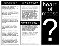 why a moose? ... thousands of reasons,