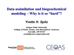 Data assimilation and biogeochemical modeling – Why is it so “hard”?