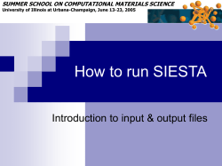 How to run SIESTA Introduction to input &amp; output files