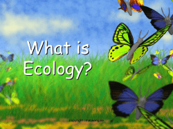 What is Ecology? 1 copyright cmassengale