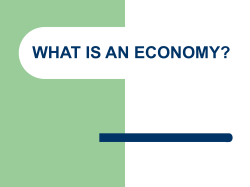 WHAT IS AN ECONOMY?