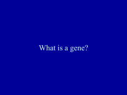 What is a gene?