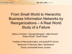 From Small World to Hierarchic Business Information Networks by Reorganizations