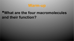 • Warm-up What are the four macromolecules and their function?