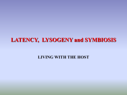 LATENCY,  LYSOGENY and SYMBIOSIS LIVING WITH THE HOST