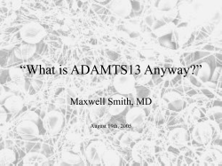 “What is ADAMTS13 Anyway?” Maxwell Smith, MD August 19th, 2005