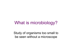 What is microbiology? Study of organisms too small to