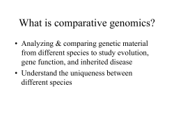 What is comparative genomics?