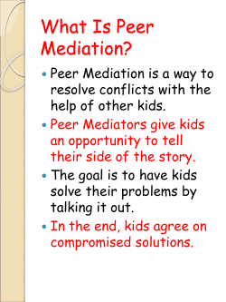 What Is Peer Mediation?