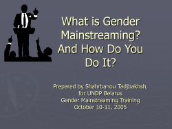 What is Gender Mainstreaming? And How Do You Do It?