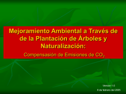 Mejoramiento Ambiental a Través de de la Plantación de Árboles y Naturalización: