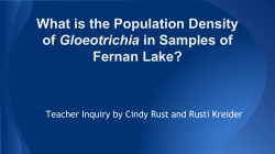 What is the Population Density Gloeotrichia Fernan Lake?