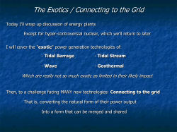 The Exotics / Connecting to the Grid