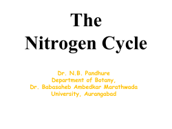 The Nitrogen Cycle Dr. N.B. Pandhure Department of Botany,
