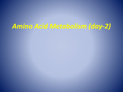 Amino Acid Metabolism (day-2)
