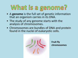 genome that an organism carries in its DNA. analysis of chromosomes.