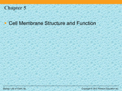 Chapter 5  Cell Membrane Structure and Function
