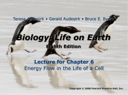 Biology: Life on Earth Lecture for Chapter 6 Eighth Edition