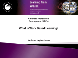 Advanced Professional Development (ADP1) Professor Stephen Gomez