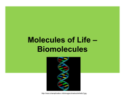 – Molecules of Life Biomolecules