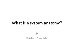What is a system anatomy? By Kristian Sandahl