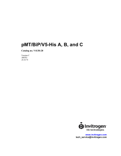 pMT/BiP/V5-His A, B, and C  Catalog no. V4130-20 www.invitrogen.com