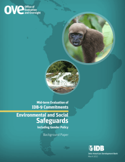 Safeguards Environmental and Social IDB-9 Commitments Background Paper