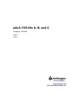 pAc5.1/V5-His A, B, and C  Catalog no. V4110-20 www.invitrogen.com