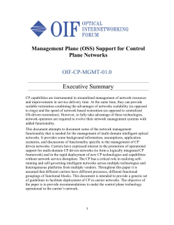 Executive Summary Management Plane (OSS) Support for Control Plane Networks OIF-CP-MGMT-01.0