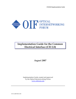 Implementation Guide for the Common Electrical Interface (CEI 2.0) August 2007