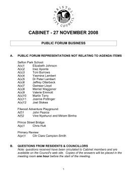 CABINET - 27 NOVEMBER 2008 PUBLIC FORUM BUSINESS