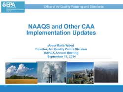 NAAQS and Other CAA Implementation Updates Anna Marie Wood