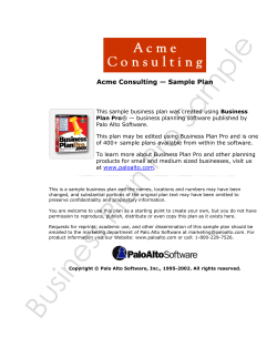 Acme Consulting — Sample Plan