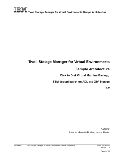 Tivoli Storage Manager for Virtual Environments Sample Architecture