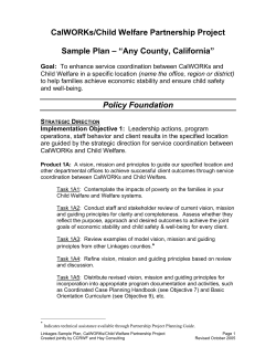 CalWORKs/Child Welfare Partnership Project  Sample Plan – “Any County, California”
