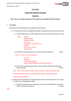 Cert VN ECC Sample Paper Questions &amp; Answers Paper One