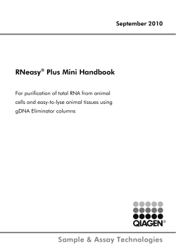 RNeasy Plus Mini Handbook September 2010