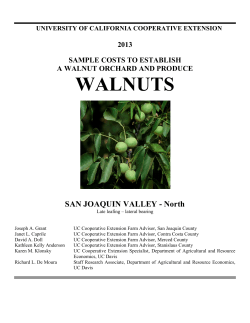 WALNUTS SAN JOAQUIN VALLEY - North 2013 SAMPLE COSTS TO ESTABLISH