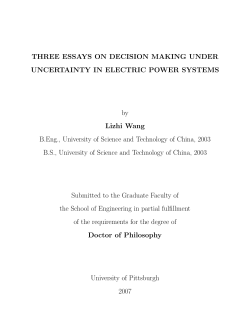 THREE ESSAYS ON DECISION MAKING UNDER UNCERTAINTY IN ELECTRIC POWER SYSTEMS by