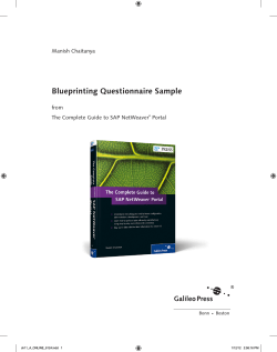 Blueprinting Questionnaire Sample Manish Chaitanya from The Complete Guide to SAP NetWeaver