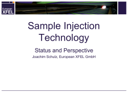 Sample Injection Technology Status and Perspective Joachim Schulz, European XFEL GmbH