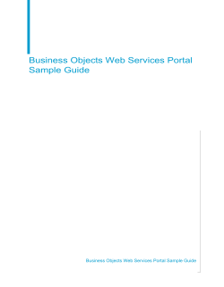 Business Objects Web Services Portal Sample Guide