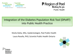 Integration of the Diabetes Population Risk Tool (DPoRT)