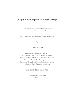 Computational aspects of sample surveys