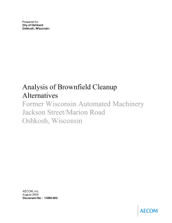 Analysis of Brownfield Cleanup Alternatives Former Wisconsin Automated Machinery Jackson Street/Marion Road