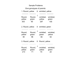 Sample Problems: Give genotypes of parents: 1. Round, yellow X wrinkled, yellow